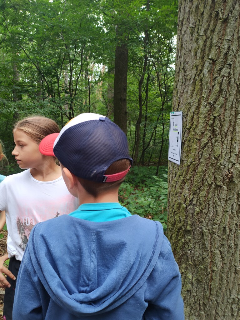 IMG20220714094252